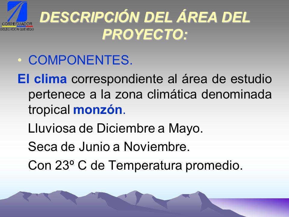 DESCRIPCIÓN DEL ÁREA DEL PROYECTO: