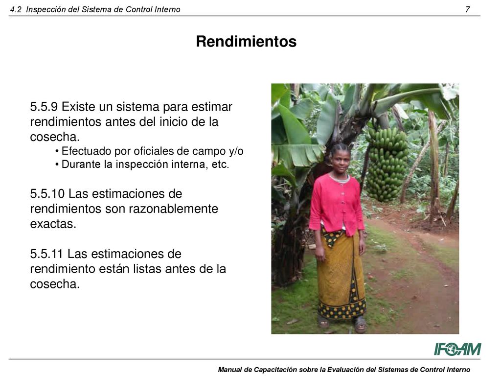 Rendimientos Existe un sistema para estimar rendimientos antes del inicio de la cosecha. Efectuado por oficiales de campo y/o.