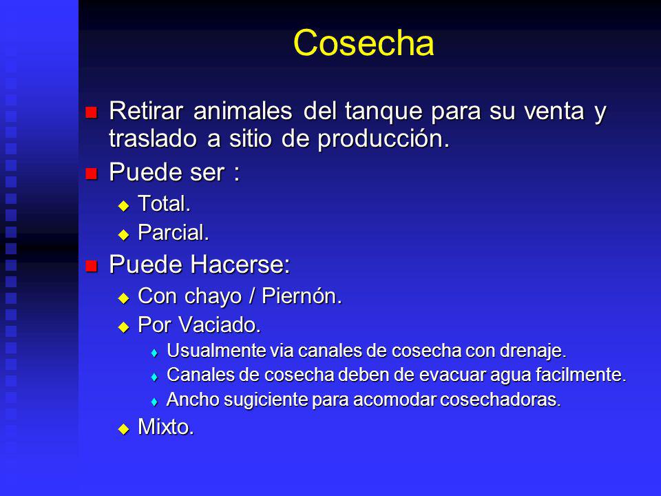 Cosecha Retirar animales del tanque para su venta y traslado a sitio de producción. Puede ser : Total.