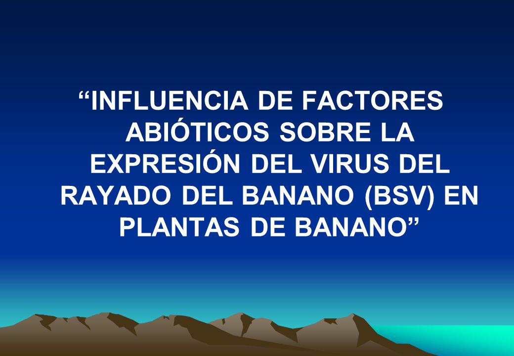 INFLUENCIA DE FACTORES ABIÓTICOS SOBRE LA EXPRESIÓN DEL VIRUS DEL RAYADO DEL BANANO (BSV) EN PLANTAS DE BANANO