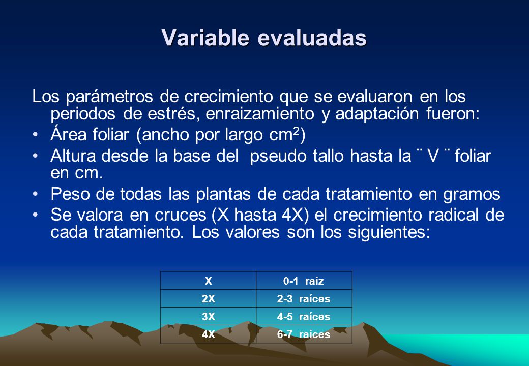 Variable evaluadas Los parámetros de crecimiento que se evaluaron en los periodos de estrés, enraizamiento y adaptación fueron: