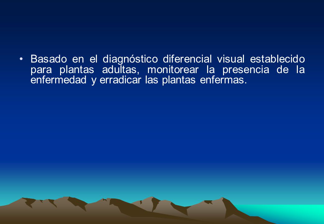 Basado en el diagnóstico diferencial visual establecido para plantas adultas, monitorear la presencia de la enfermedad y erradicar las plantas enfermas.