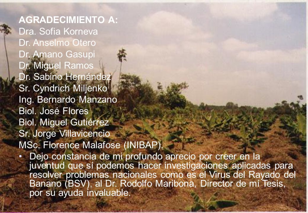 AGRADECIMIENTO A: Dra. Sofia Korneva. Dr. Anselmo Otero. Dr. Amano Gasupi. Dr. Miguel Ramos. Dr. Sabino Hernández.