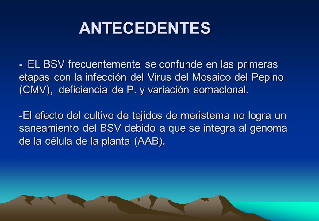 ANTECEDENTES - EL BSV frecuentemente se confunde en las primeras etapas con la infección del Virus del Mosaico del Pepino (CMV), deficiencia de P.