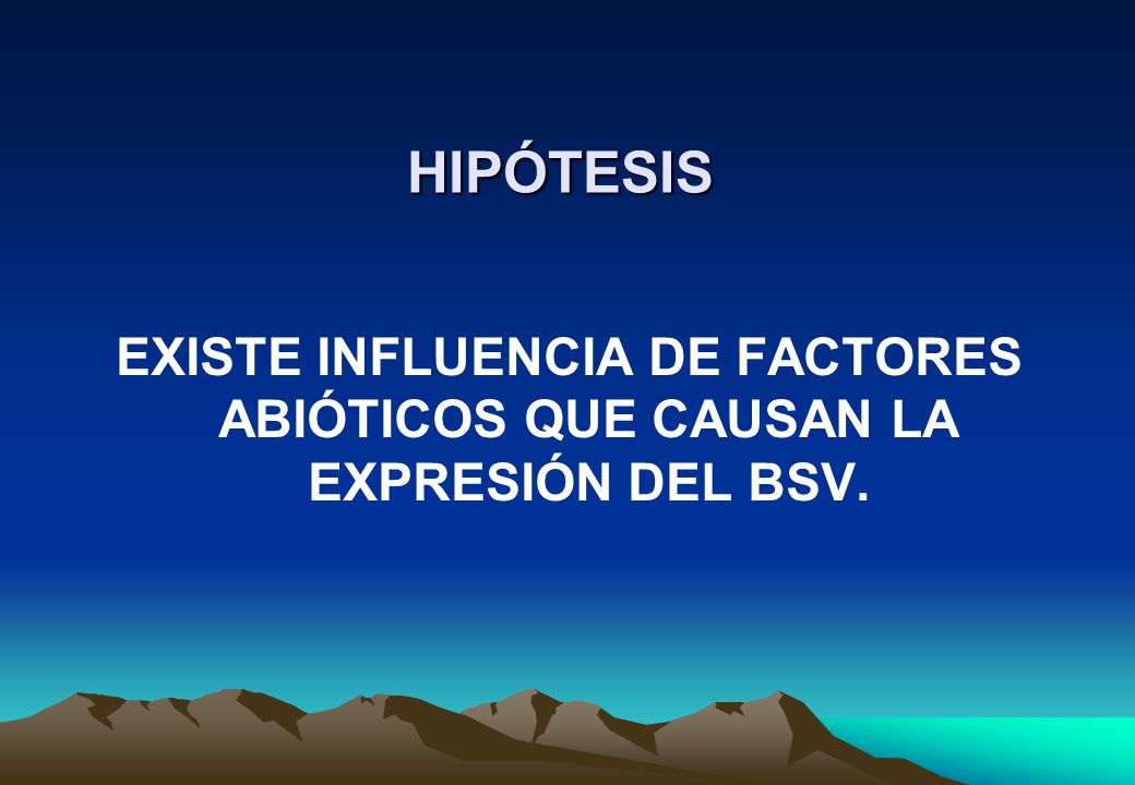 HIPÓTESIS EXISTE INFLUENCIA DE FACTORES ABIÓTICOS QUE CAUSAN LA EXPRESIÓN DEL BSV.