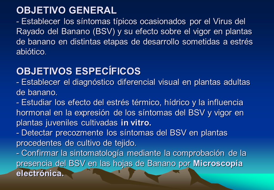 OBJETIVO GENERAL - Establecer los síntomas típicos ocasionados por el Virus del Rayado del Banano (BSV) y su efecto sobre el vigor en plantas de banano en distintas etapas de desarrollo sometidas a estrés abiótico.