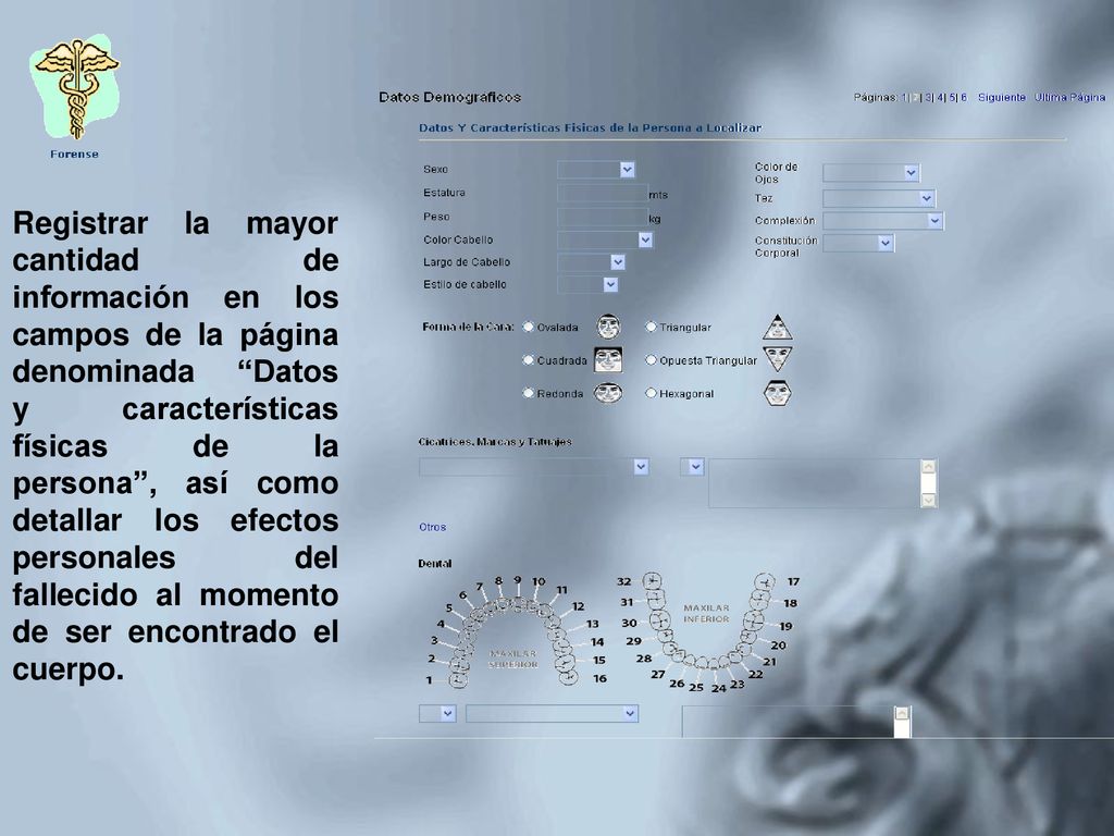 Registrar la mayor cantidad de información en los campos de la página denominada Datos y características físicas de la persona , así como detallar los efectos personales del fallecido al momento de ser encontrado el cuerpo.