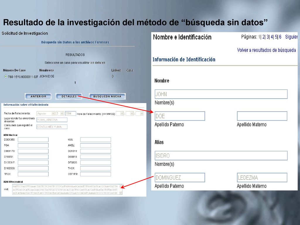 Resultado de la investigación del método de búsqueda sin datos