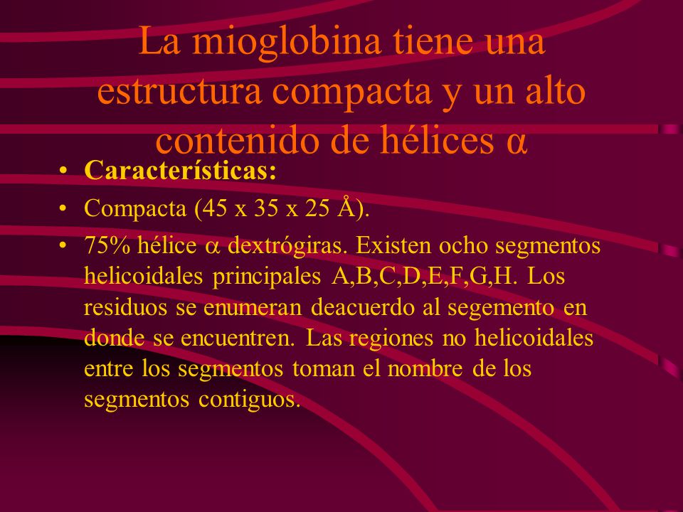 La mioglobina tiene una estructura compacta y un alto contenido de hélices α