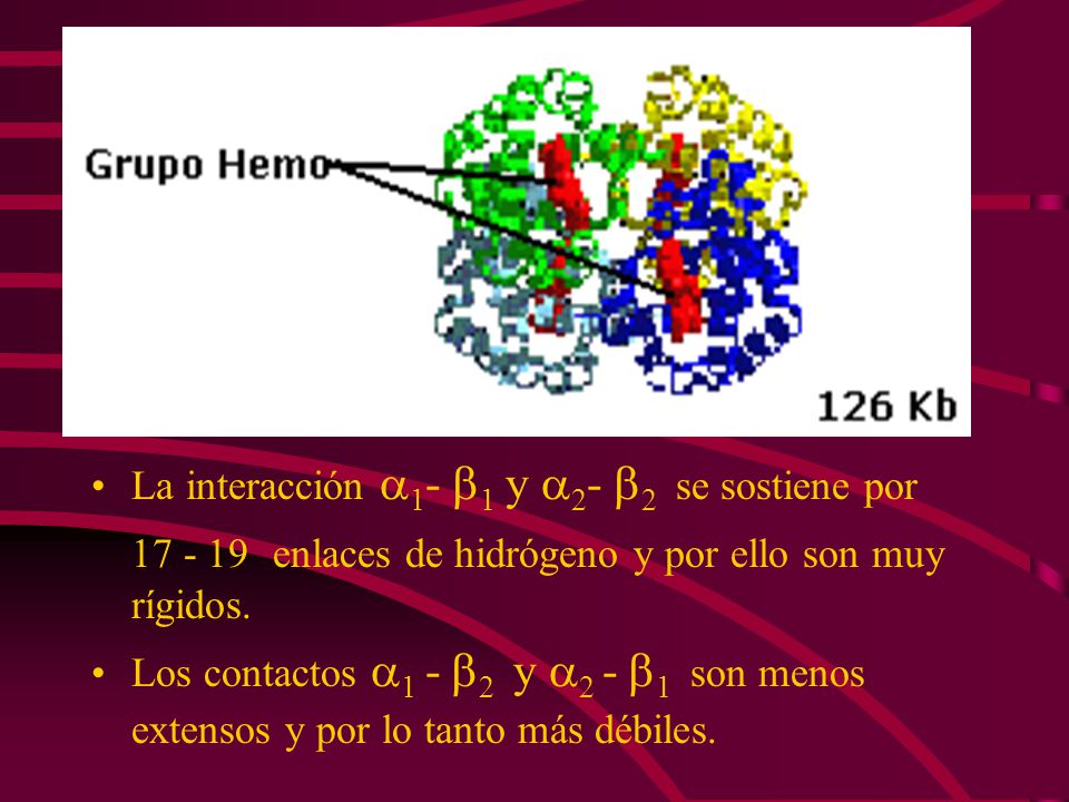 enlaces de hidrógeno y por ello son muy rígidos.