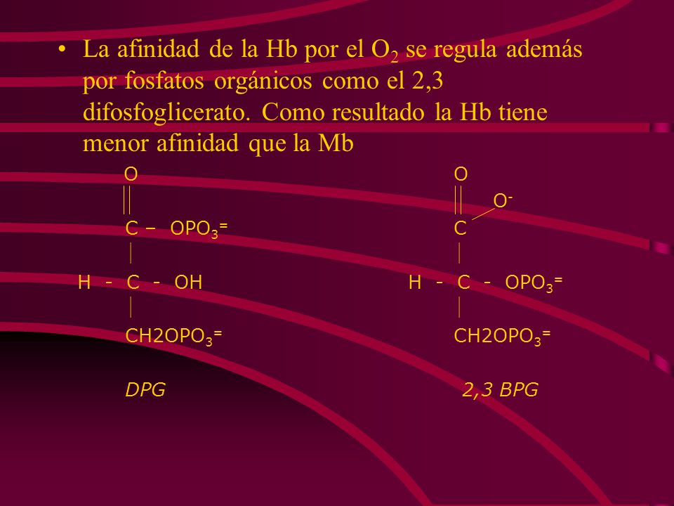 La afinidad de la Hb por el O2 se regula además por fosfatos orgánicos como el 2,3 difosfoglicerato. Como resultado la Hb tiene menor afinidad que la Mb