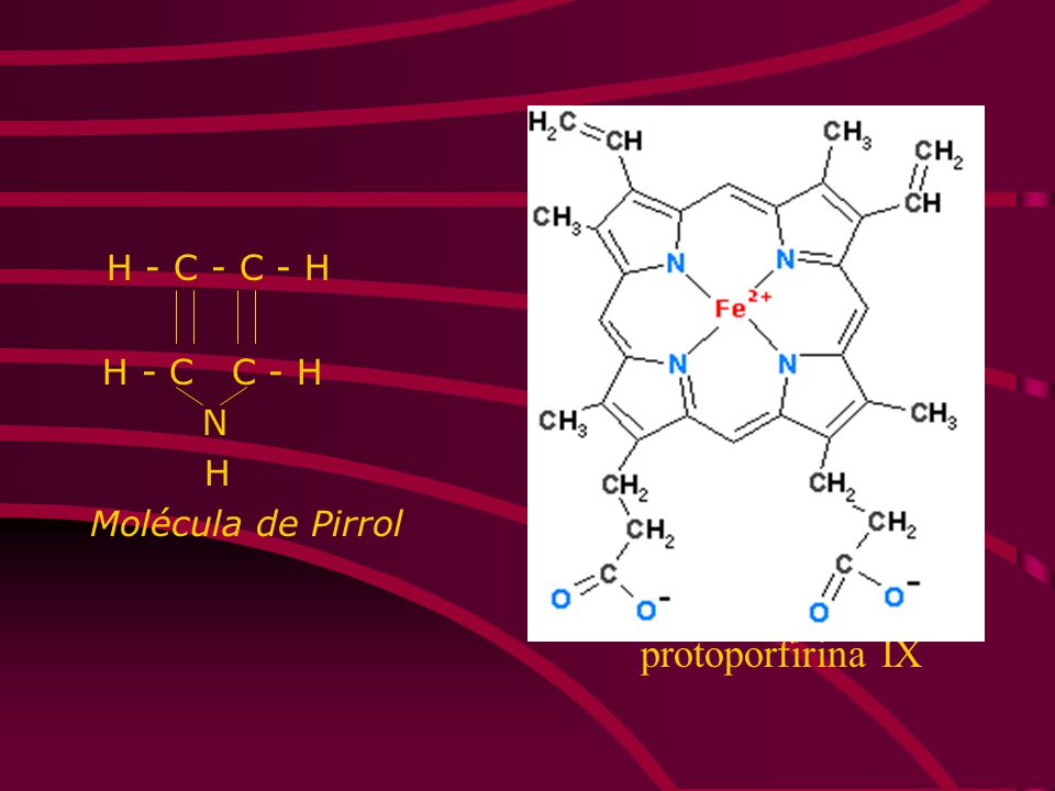 H - C - C - H H - C C - H N H Molécula de Pirrol protoporfirina IX