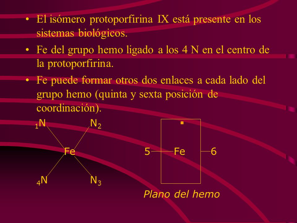 El isómero protoporfirina IX está presente en los sistemas biológicos.