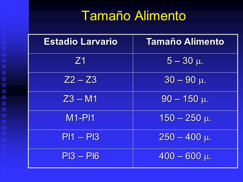 Tamaño Alimento Estadio Larvario Tamaño Alimento Z1 5 – 30 m. Z2 – Z3