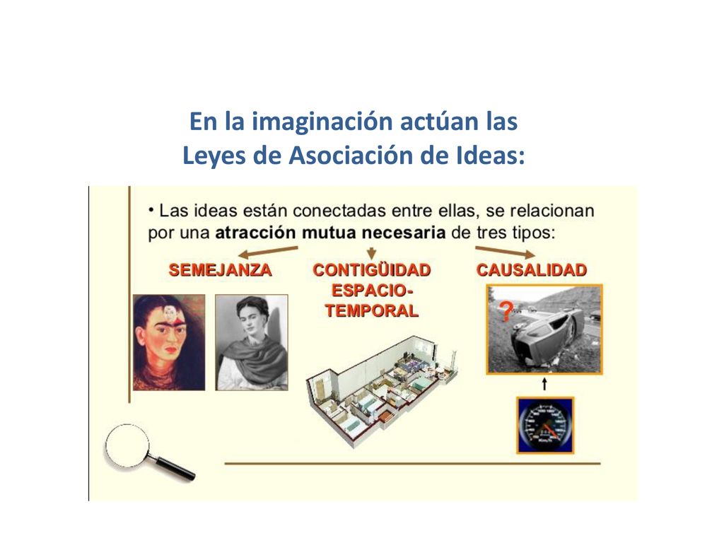 En la imaginación actúan las Leyes de Asociación de Ideas: