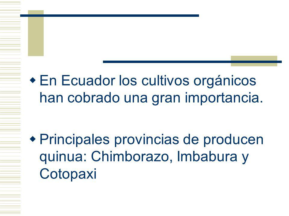 En Ecuador los cultivos orgánicos han cobrado una gran importancia.