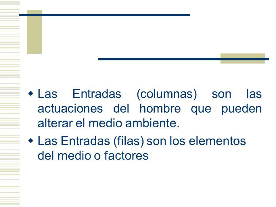 Las Entradas (columnas) son las actuaciones del hombre que pueden alterar el medio ambiente.