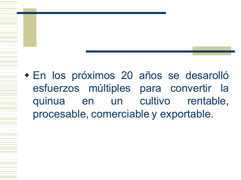 En los próximos 20 años se desarolló esfuerzos múltiples para convertir la quinua en un cultivo rentable, procesable, comerciable y exportable.