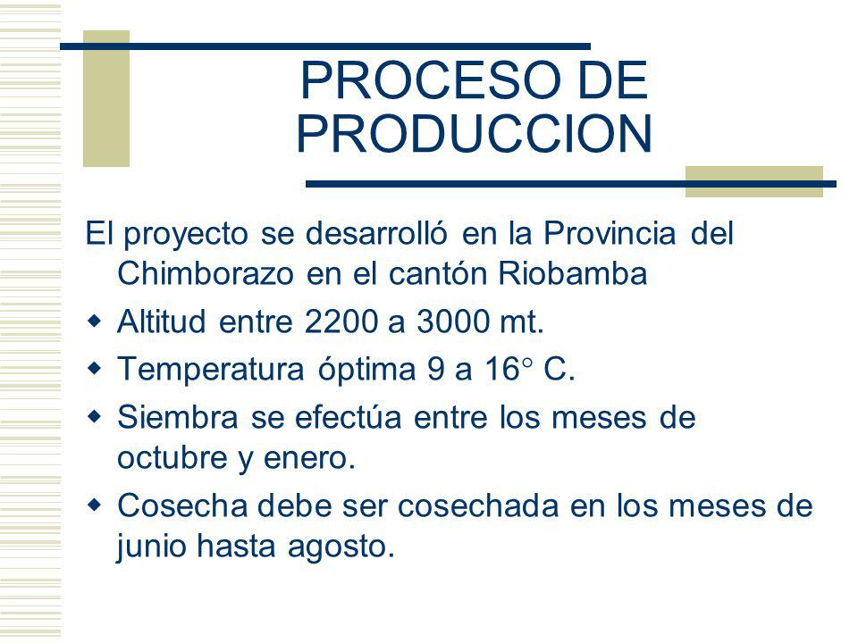 PROCESO DE PRODUCCION El proyecto se desarrolló en la Provincia del Chimborazo en el cantón Riobamba.