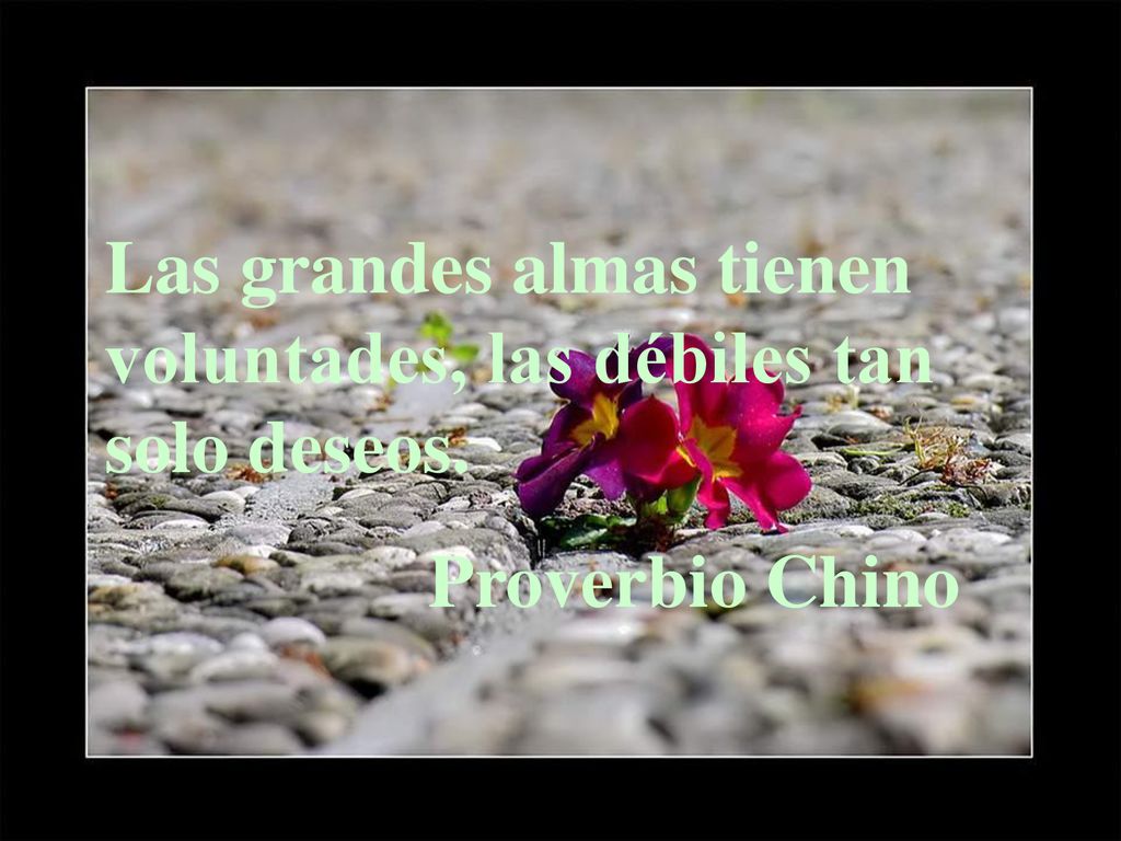 Las grandes almas tienen voluntades, las débiles tan solo deseos.