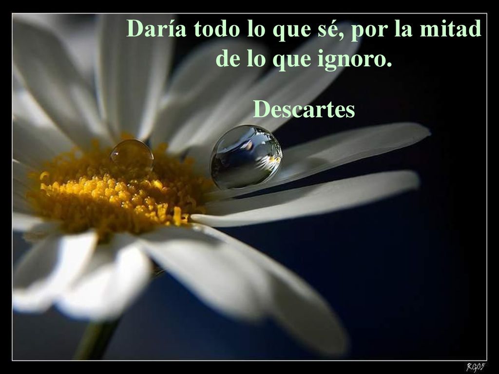 Daría todo lo que sé, por la mitad de lo que ignoro.