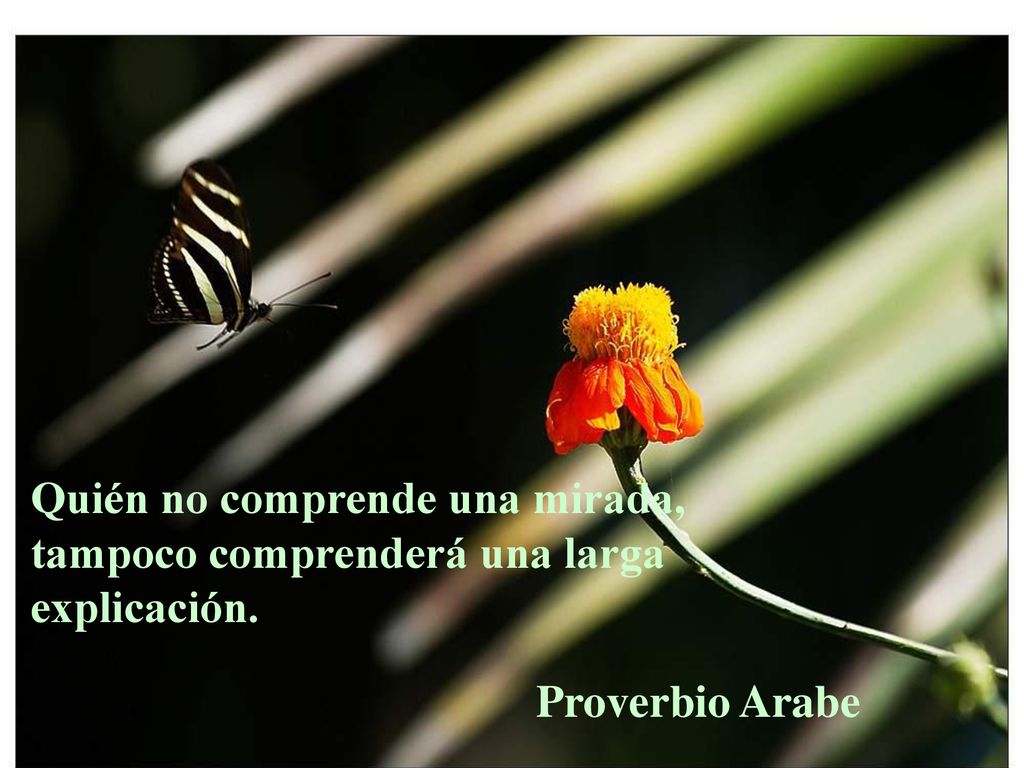 Quién no comprende una mirada, tampoco comprenderá una larga explicación.