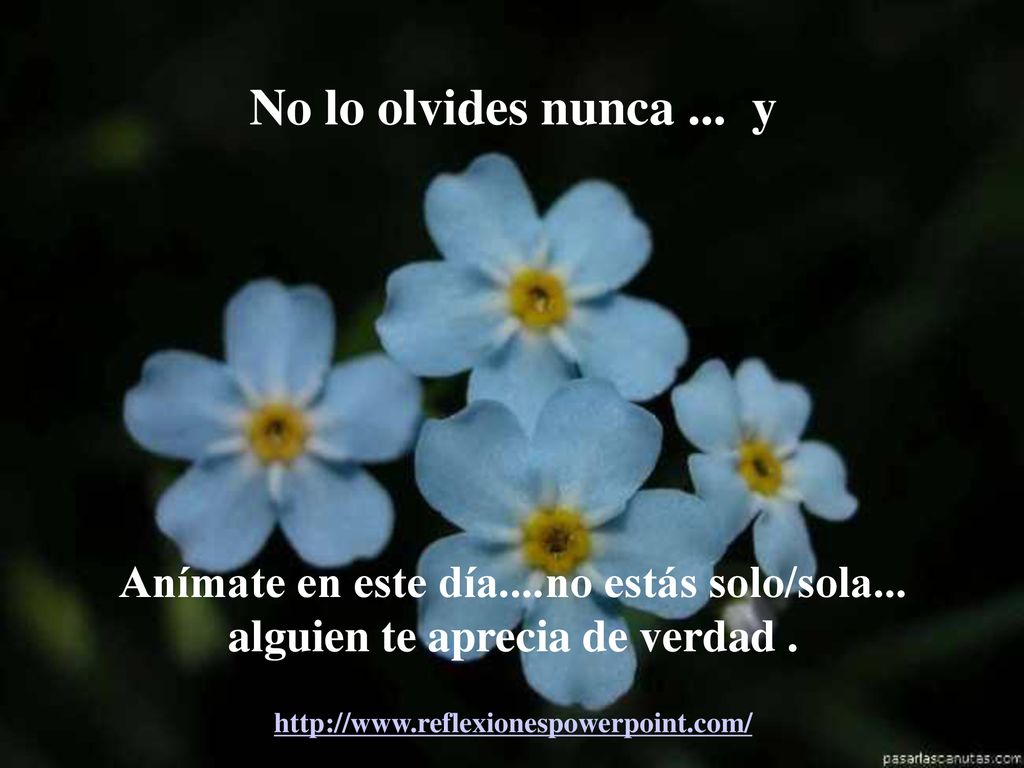 No lo olvides nunca ... y Anímate en este día....no estás solo/sola... alguien te aprecia de verdad .