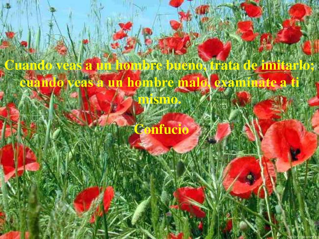 Cuando veas a un hombre bueno, trata de imitarlo; cuando veas a un hombre malo, examínate a ti mismo.