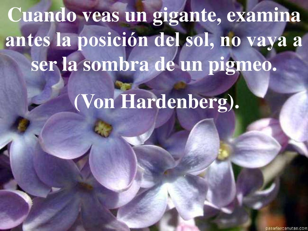 Cuando veas un gigante, examina antes la posición del sol, no vaya a ser la sombra de un pigmeo.