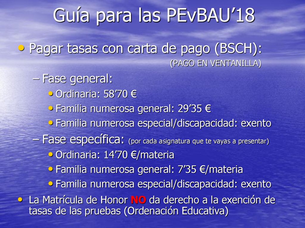 Guía para las PEvBAU’18 Pagar tasas con carta de pago (BSCH):