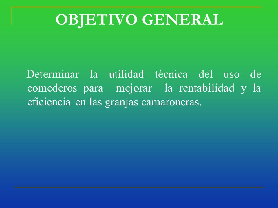 OBJETIVO GENERAL Determinar la utilidad técnica del uso de comederos para mejorar la rentabilidad y la eficiencia en las granjas camaroneras.