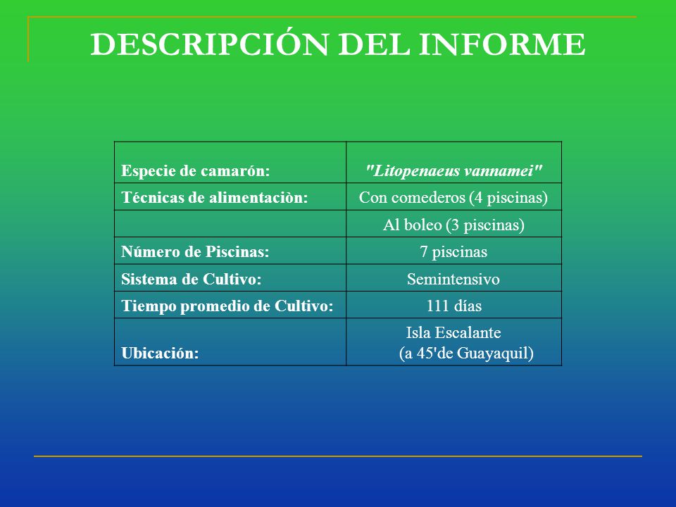 DESCRIPCIÓN DEL INFORME