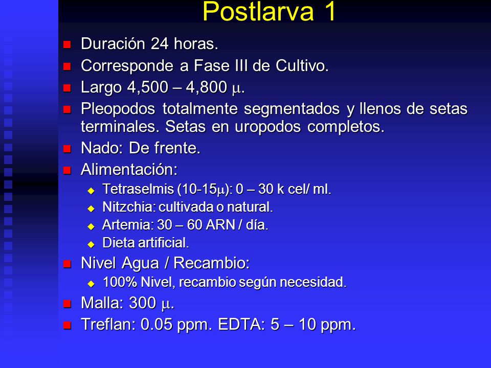 Postlarva 1 Duración 24 horas. Corresponde a Fase III de Cultivo.