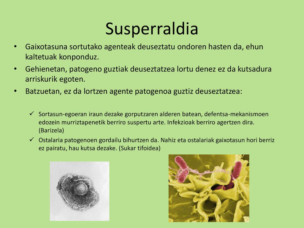 Susperraldia Gaixotasuna sortutako agenteak deuseztatu ondoren hasten da, ehun kaltetuak konponduz.