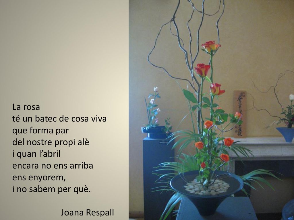 La rosa té un batec de cosa viva. que forma par. del nostre propi alè. i quan l’abril. encara no ens arriba.