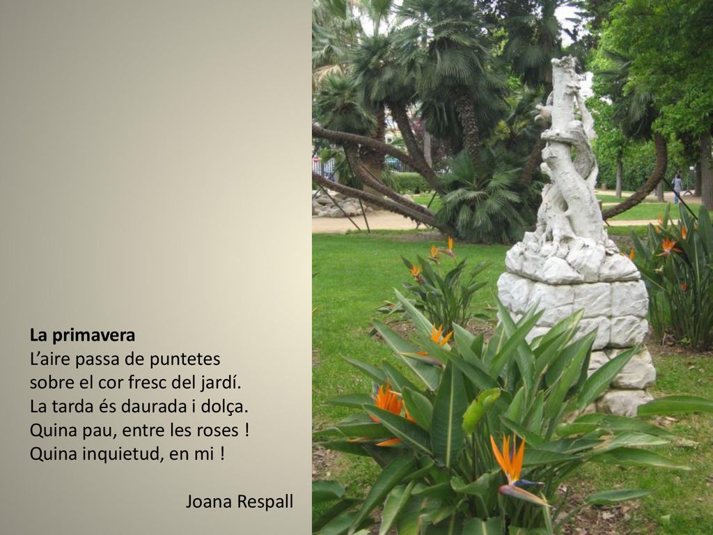 La primavera L’aire passa de puntetes. sobre el cor fresc del jardí. La tarda és daurada i dolça.