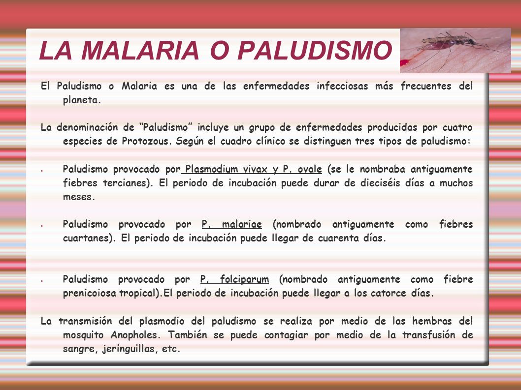 LA MALARIA O PALUDISMO El Paludismo o Malaria es una de las enfermedades infecciosas más frecuentes del planeta.