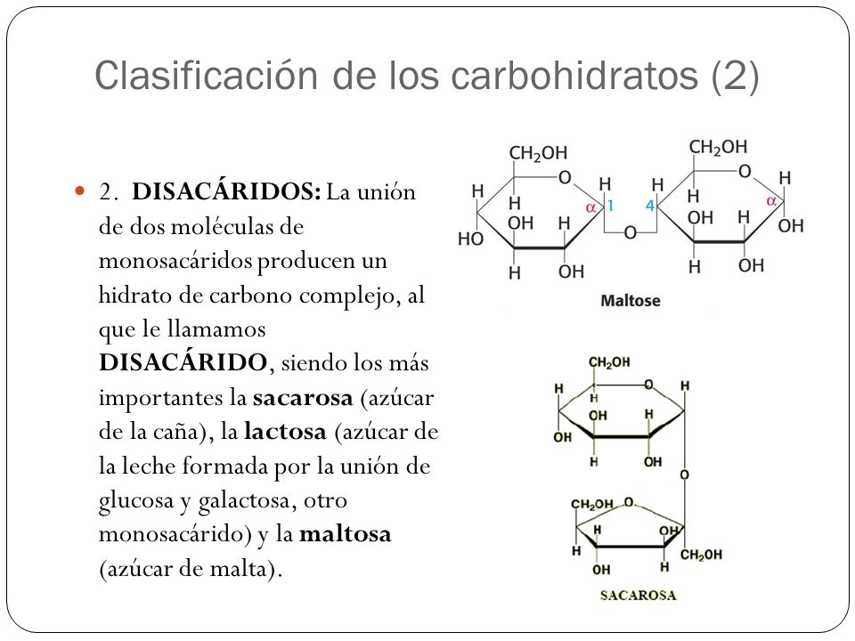 Clasificación de los carbohidratos (2)