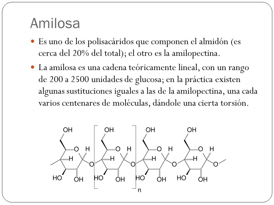 Amilosa Es uno de los polisacáridos que componen el almidón (es cerca del 20% del total); el otro es la amilopectina.