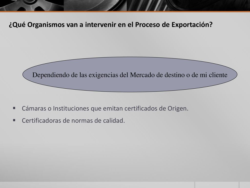 ¿Qué Organismos van a intervenir en el Proceso de Exportación
