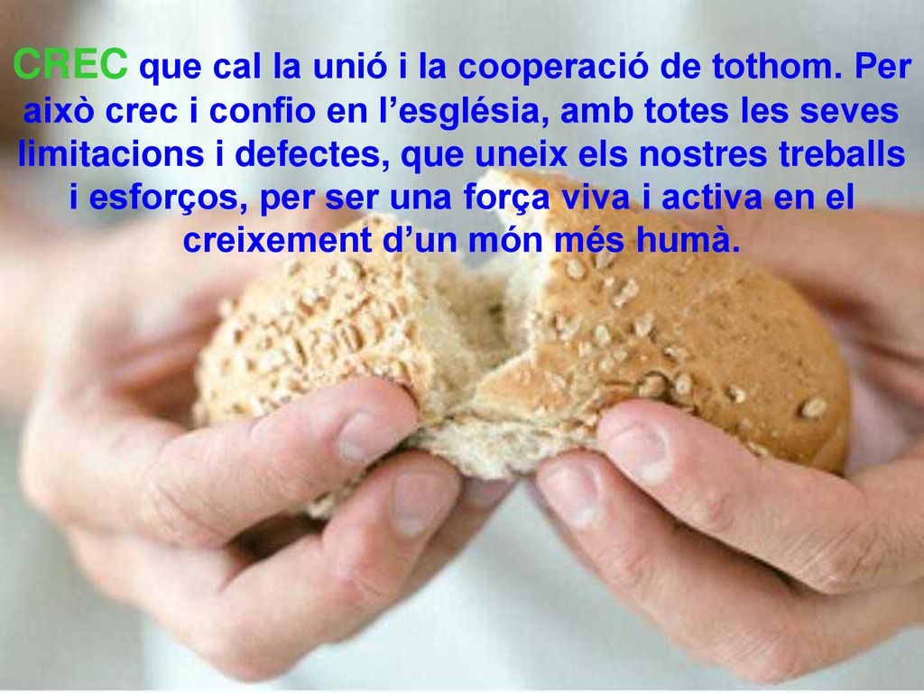 CREC que cal la unió i la cooperació de tothom