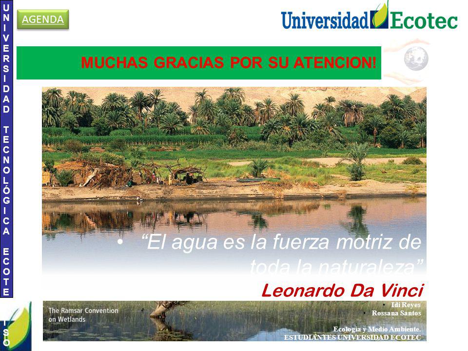 El agua es la fuerza motriz de toda la naturaleza Leonardo Da Vinci