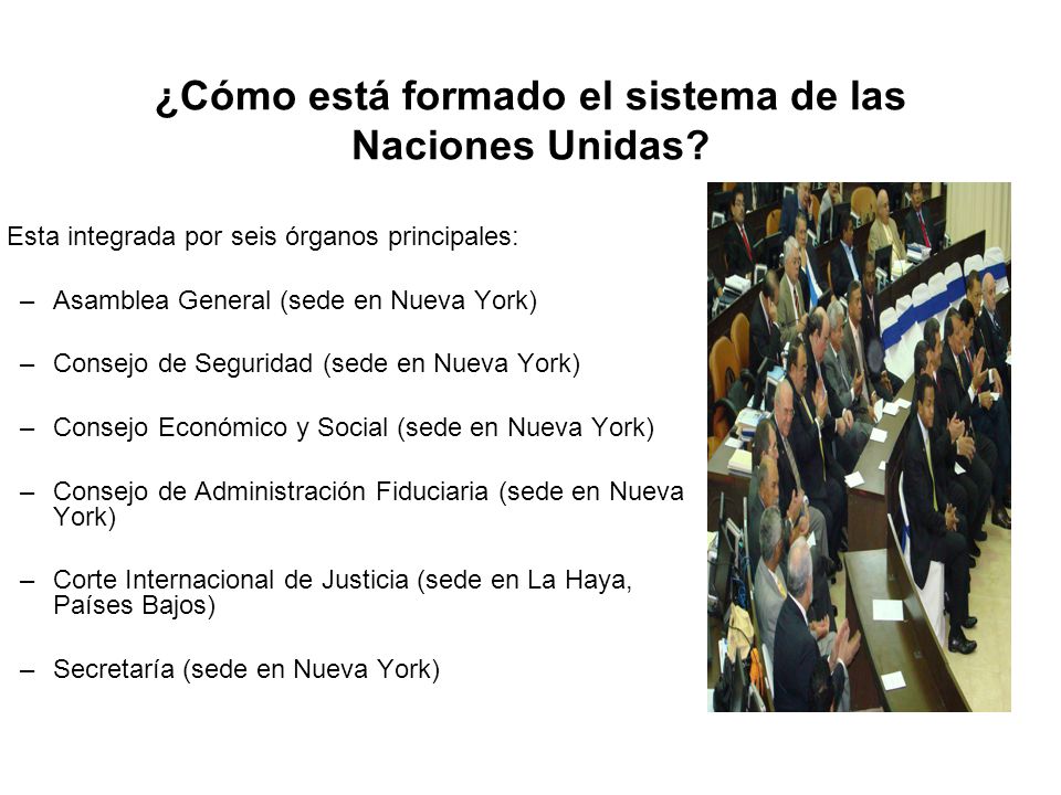 ¿Cómo está formado el sistema de las Naciones Unidas
