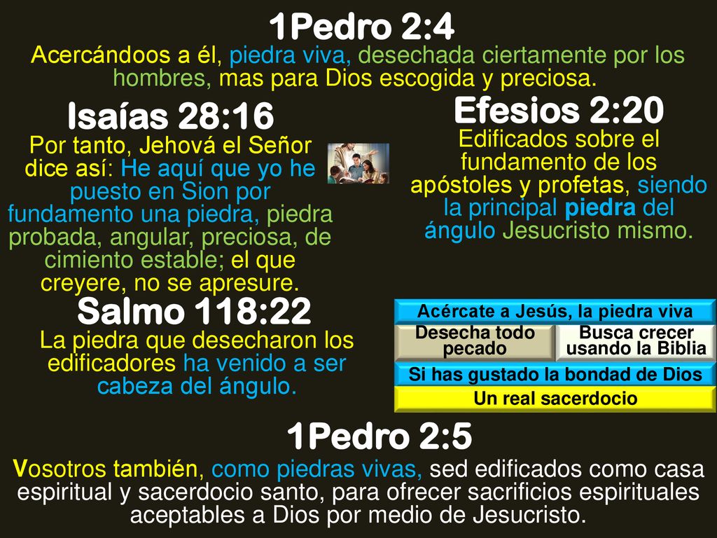 1Pedro 2:4 Efesios 2:20 Isaías 28:16 Salmo 118:22 1Pedro 2:5