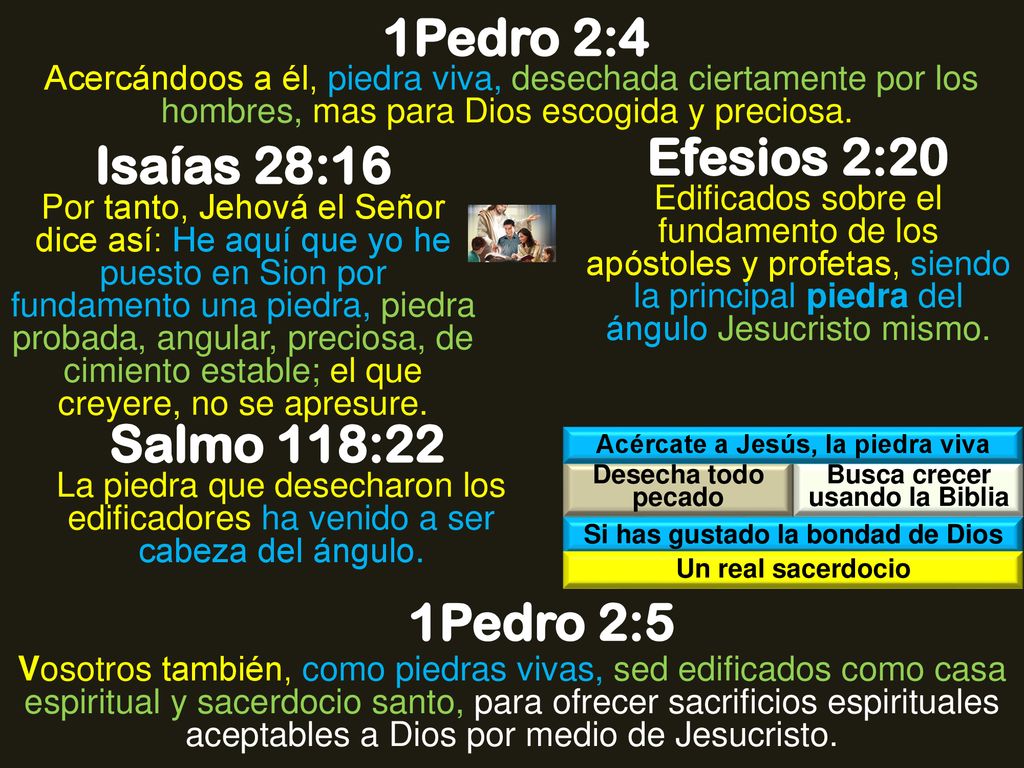 1Pedro 2:4 Efesios 2:20 Isaías 28:16 Salmo 118:22 1Pedro 2:5