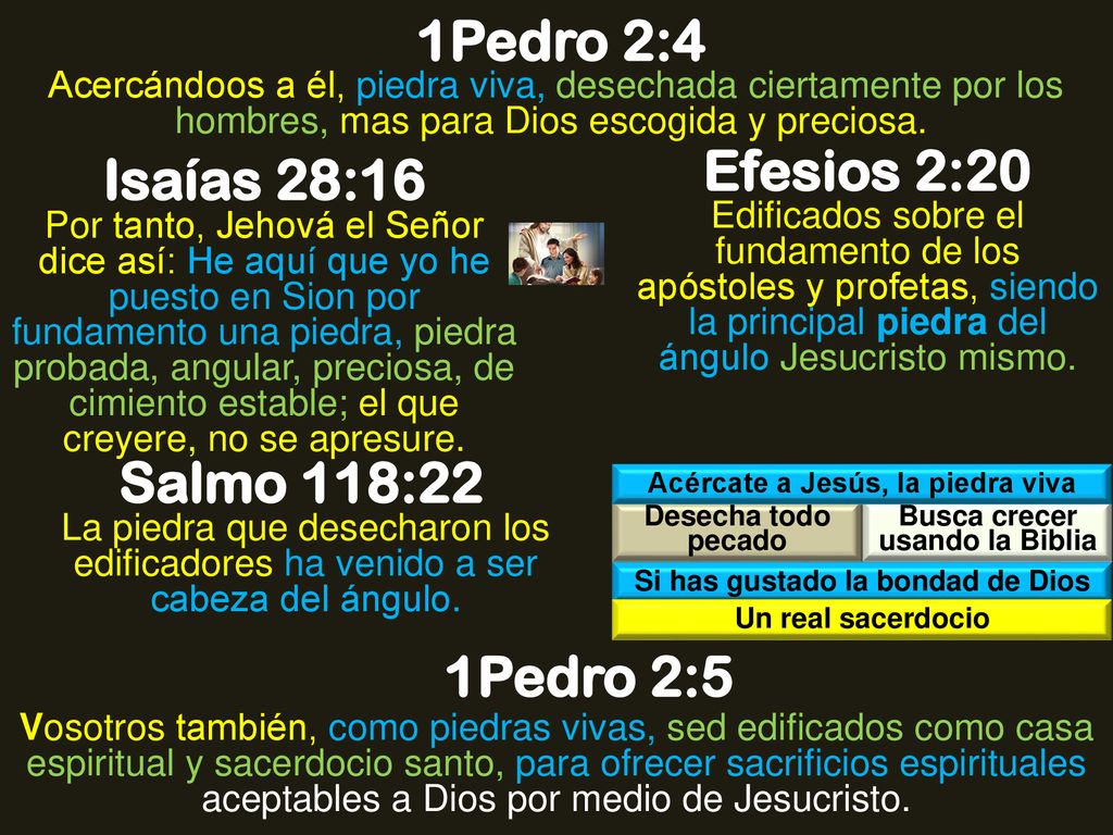 1Pedro 2:4 Efesios 2:20 Isaías 28:16 Salmo 118:22 1Pedro 2:5