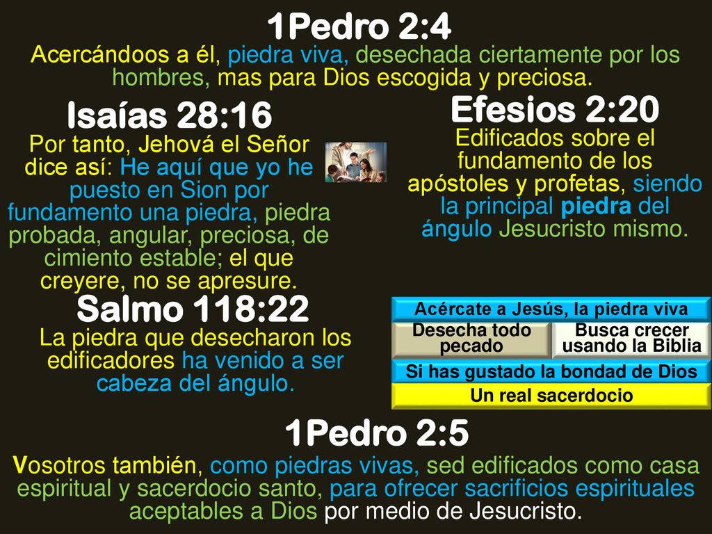 1Pedro 2:4 Efesios 2:20 Isaías 28:16 Salmo 118:22 1Pedro 2:5