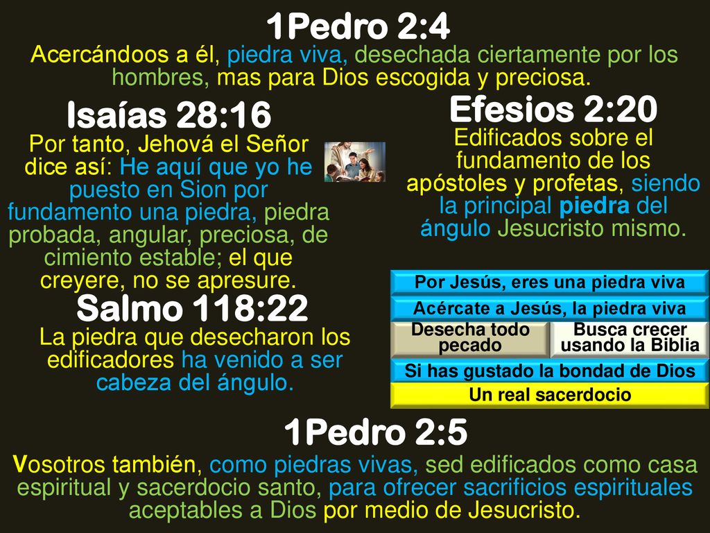 1Pedro 2:4 Efesios 2:20 Isaías 28:16 Salmo 118:22 1Pedro 2:5