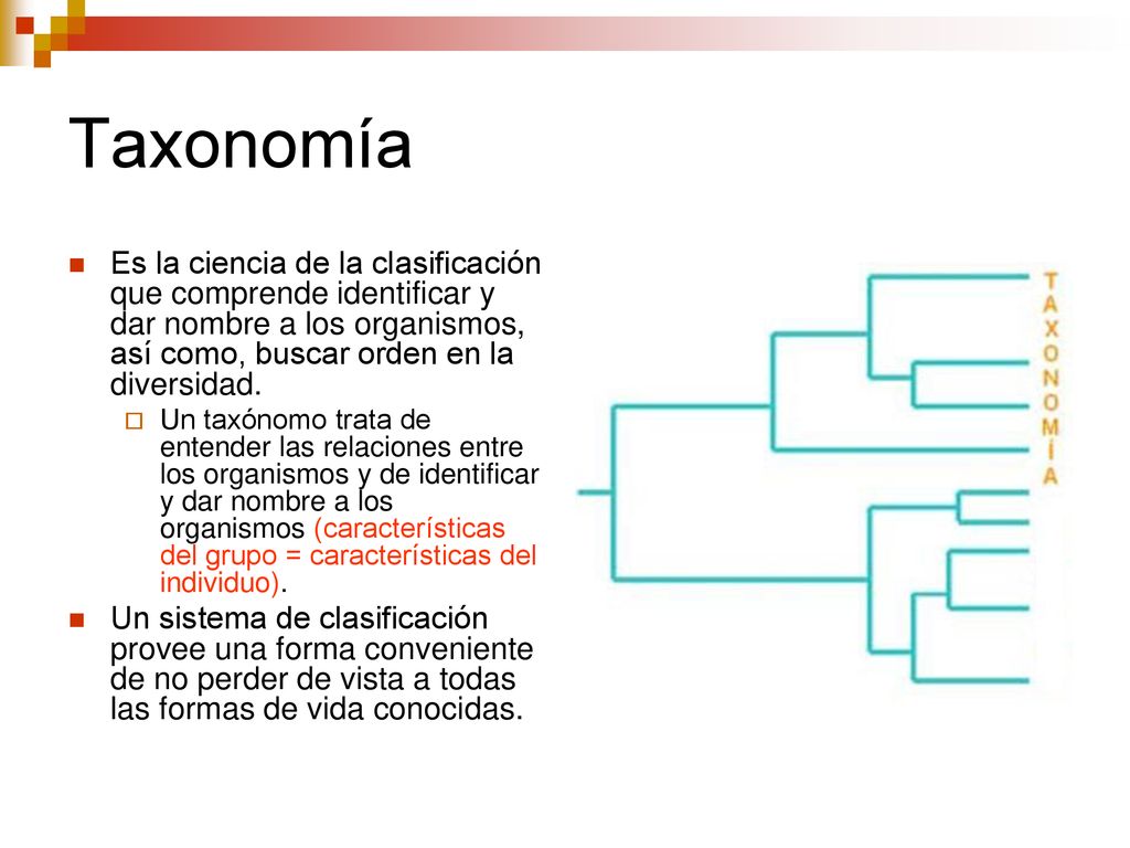Taxonomía Es la ciencia de la clasificación que comprende identificar y dar nombre a los organismos, así como, buscar orden en la diversidad.