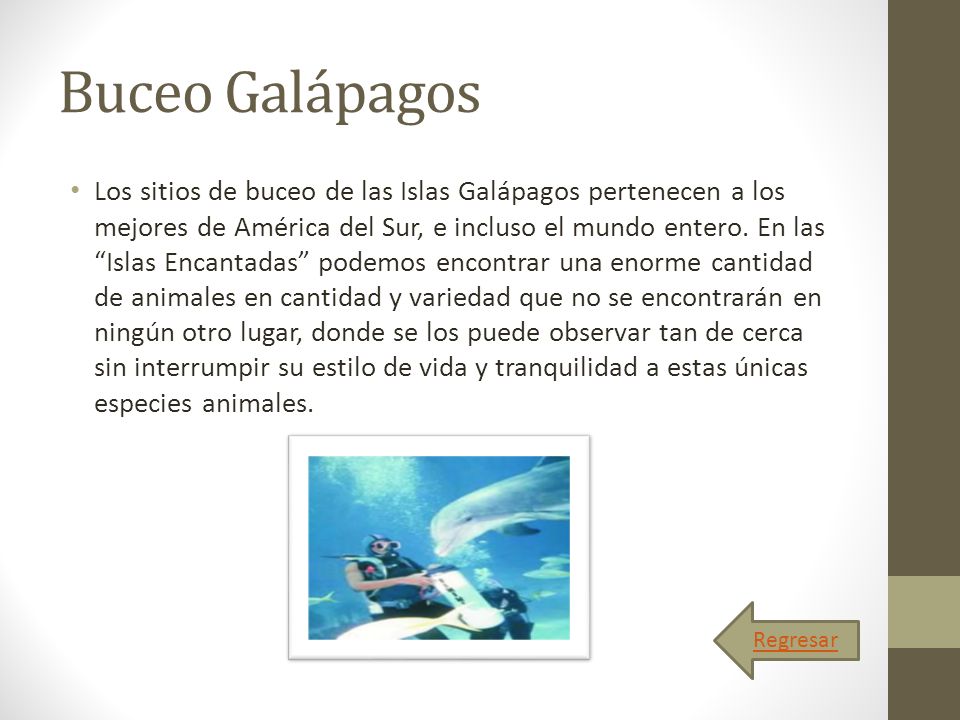 Buceo Galápagos